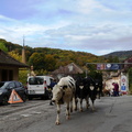 P1430604