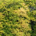 P1430734