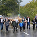 P1530141