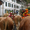 P1530182