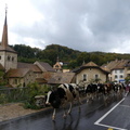 P1530205
