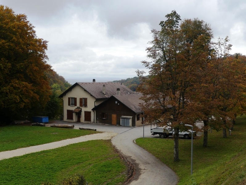 P1250282.JPG