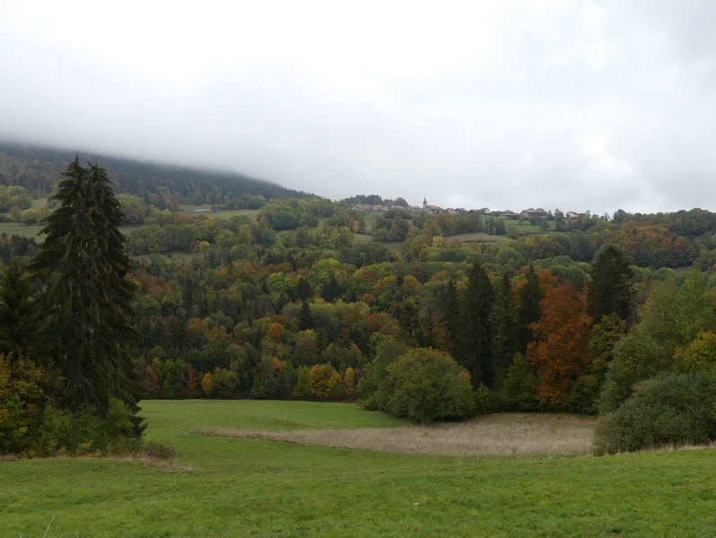 P1250284.JPG