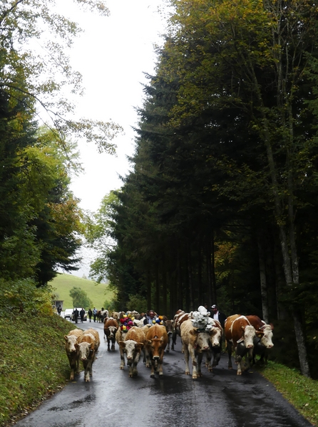 P1250322.JPG