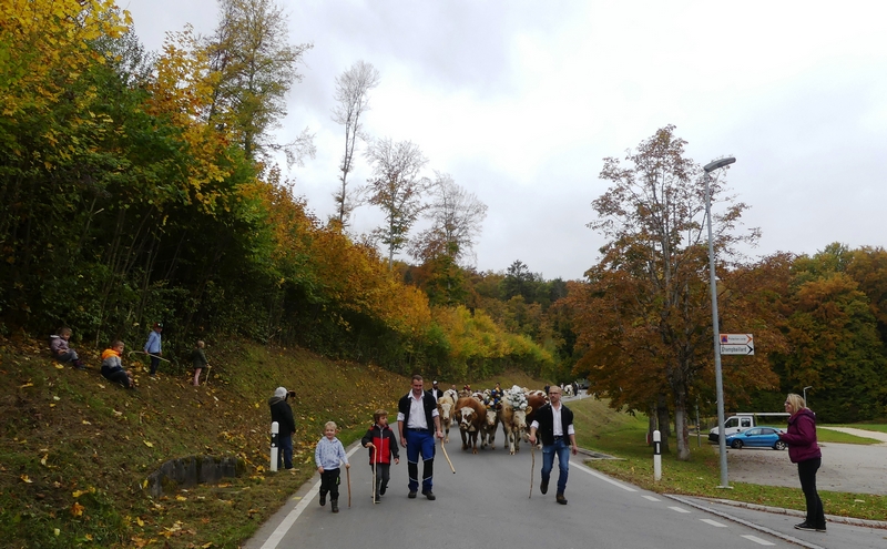 P1250492.JPG