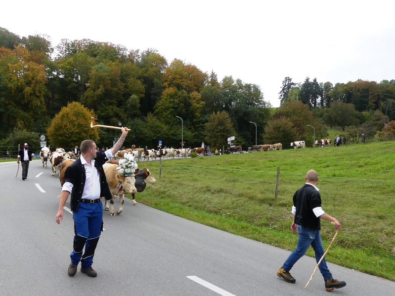 P1250531.JPG