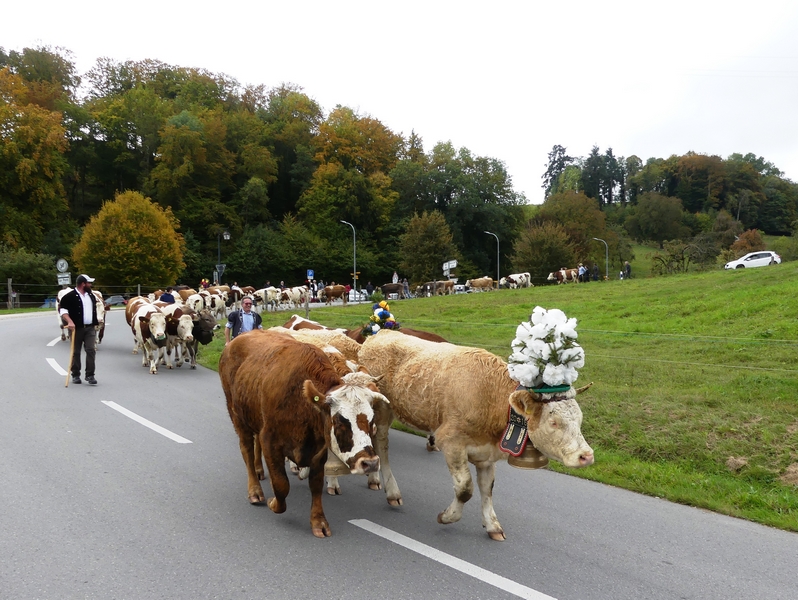 P1250532.JPG
