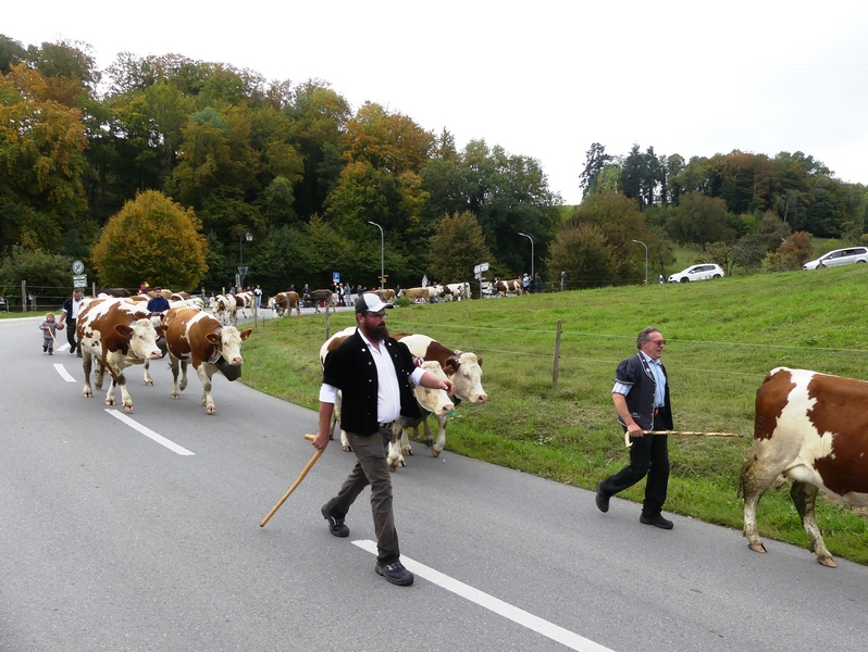 P1250534.JPG