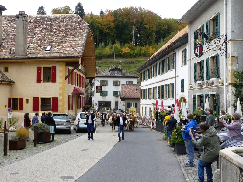 P1250551.JPG