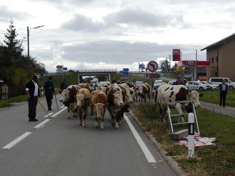 P1250616.JPG