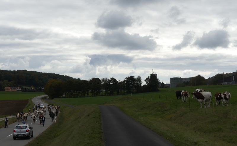 P1250645.JPG
