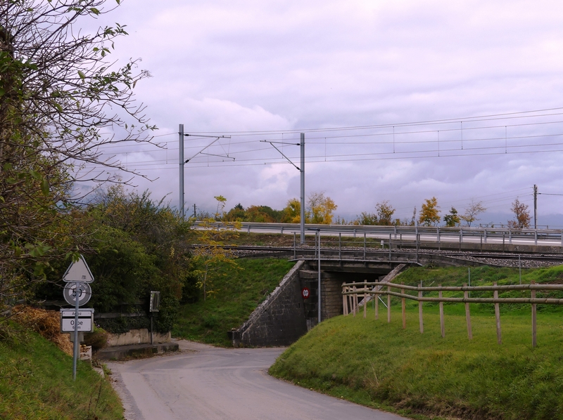 P1250655.JPG