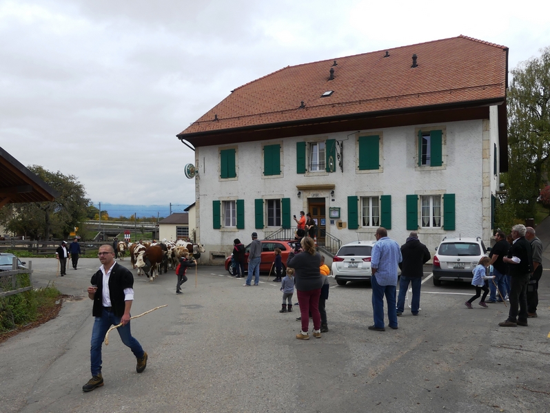 P1250691.JPG