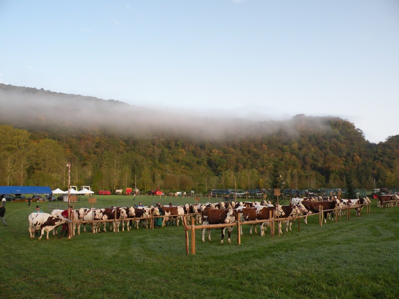 DSCN0559.JPG