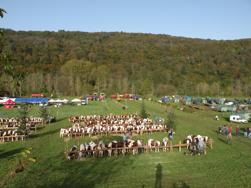 DSCN0602.JPG
