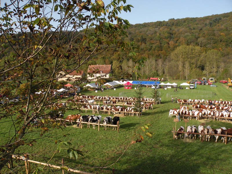 DSCN0604.JPG