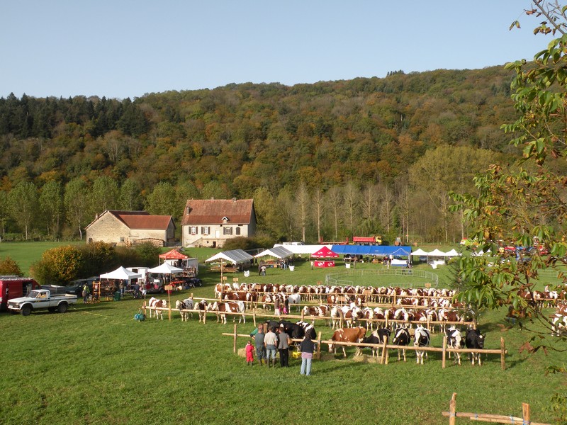 DSCN0609.JPG