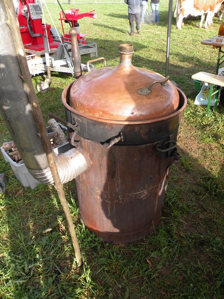 DSCN0620.JPG