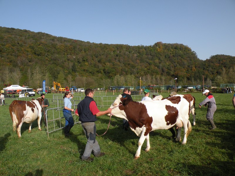 DSCN0626.JPG
