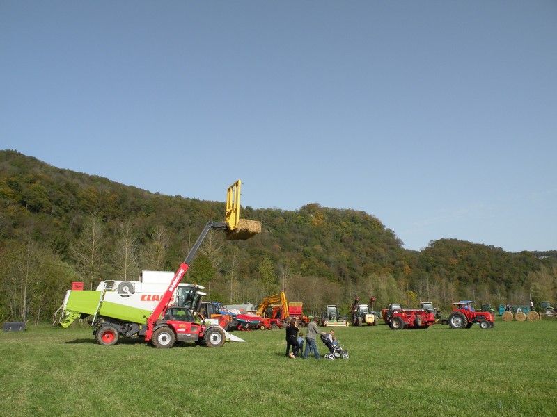 DSCN0710.JPG