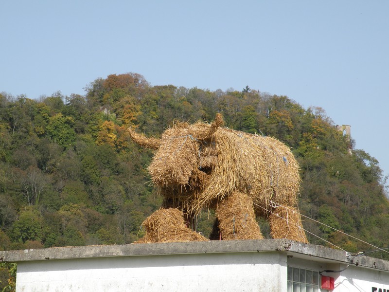 DSCN0725.JPG