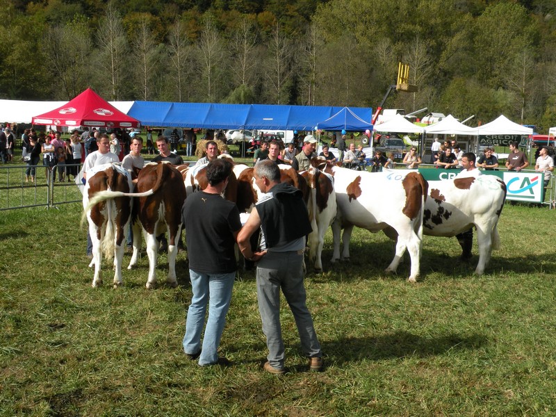 DSCN0763.JPG