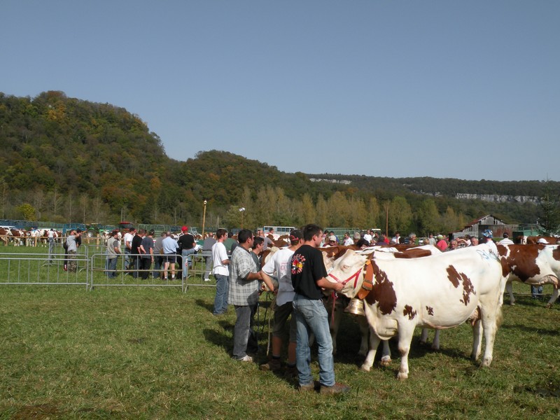 DSCN0814.JPG