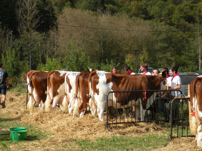 DSCN0949.JPG