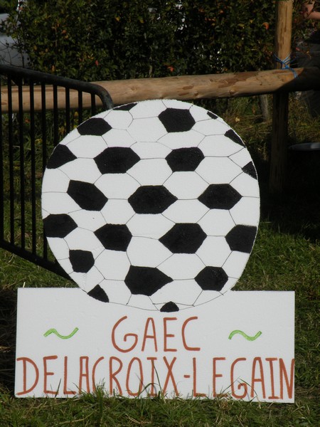 DSCN0961.JPG
