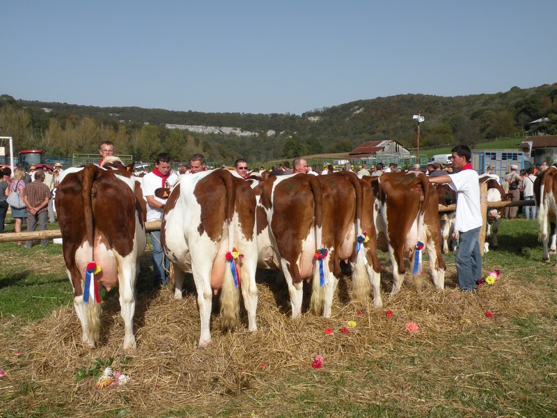 DSCN0972.JPG