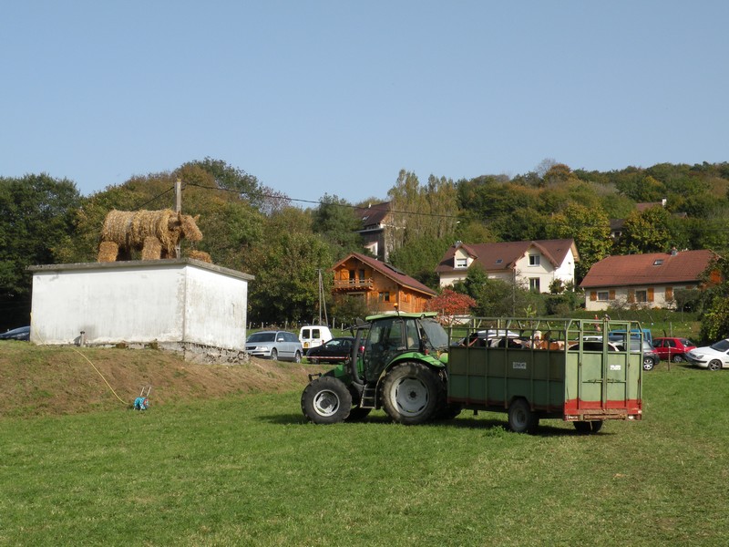 DSCN1050.JPG