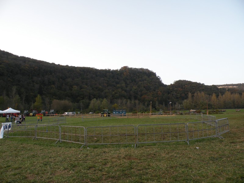 DSCN1176.JPG
