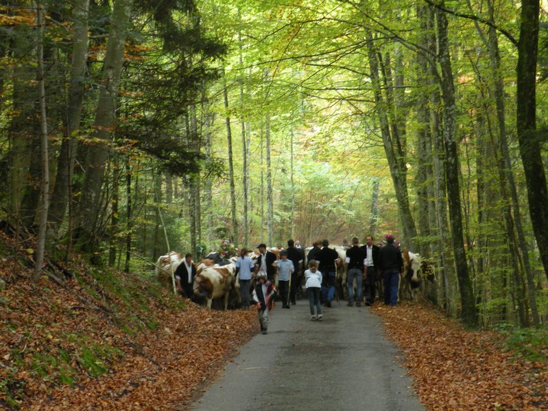 DSCN1774.JPG