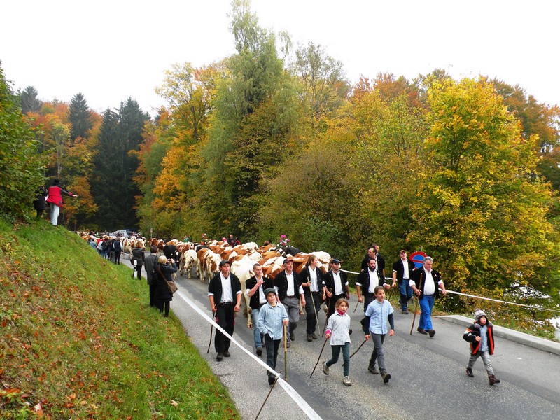 DSCN1810.JPG