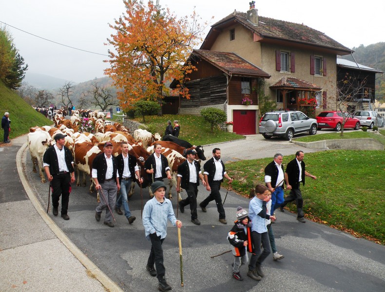 DSCN1828.JPG