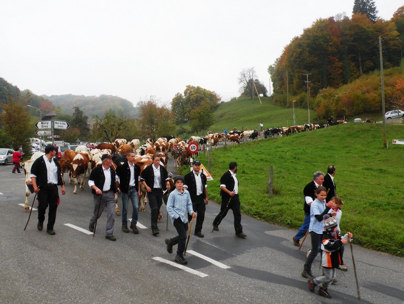 DSCN1833.JPG