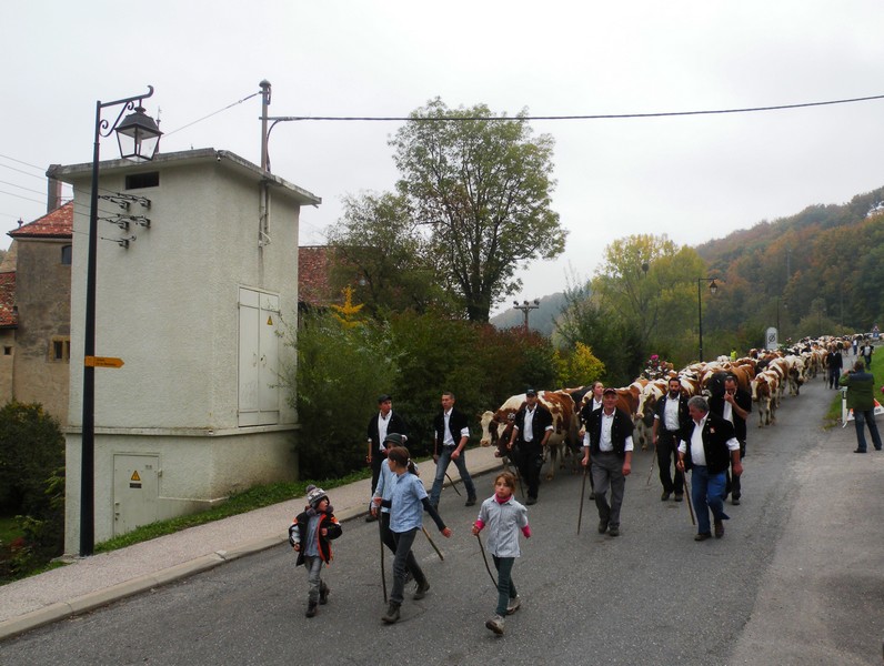 DSCN1845.JPG