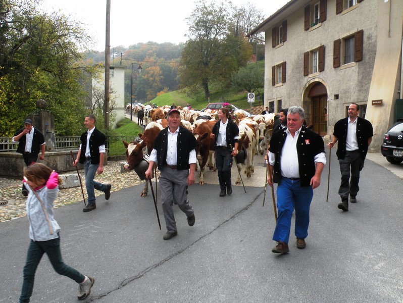 DSCN1849.JPG