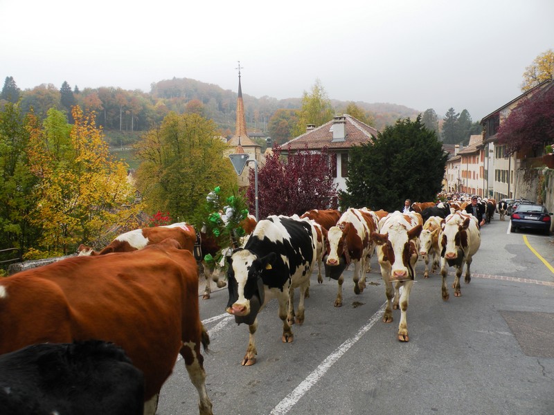 DSCN1879.JPG