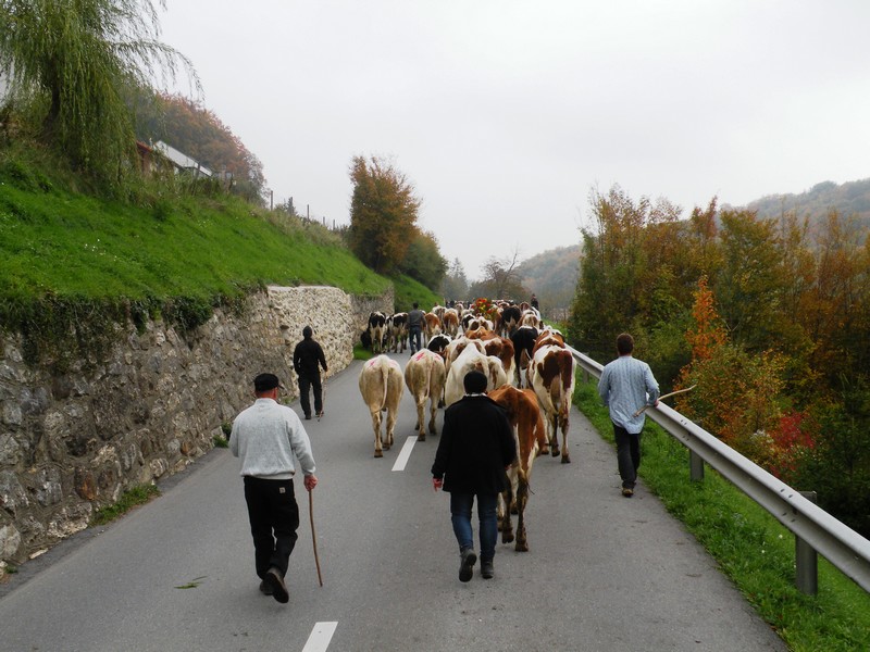 DSCN1923.JPG