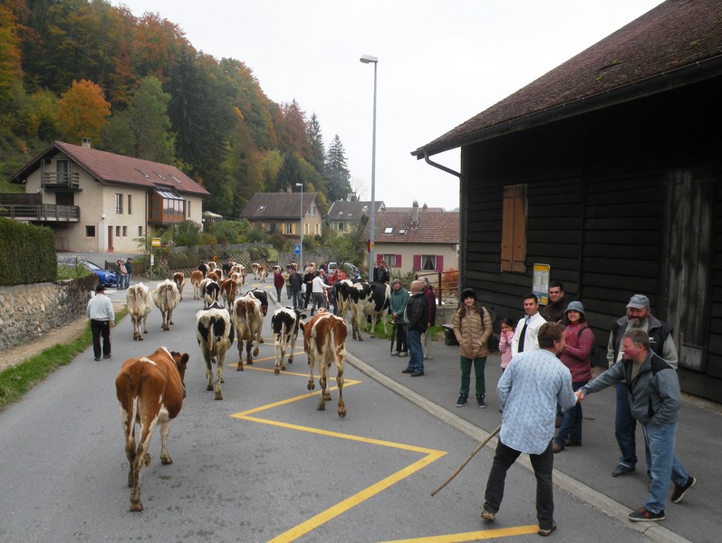 DSCN1958.JPG