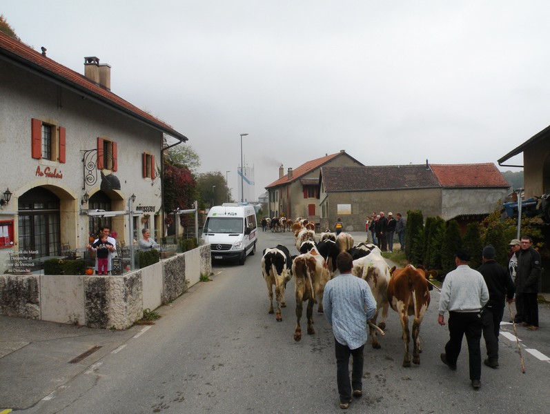 DSCN1970.JPG