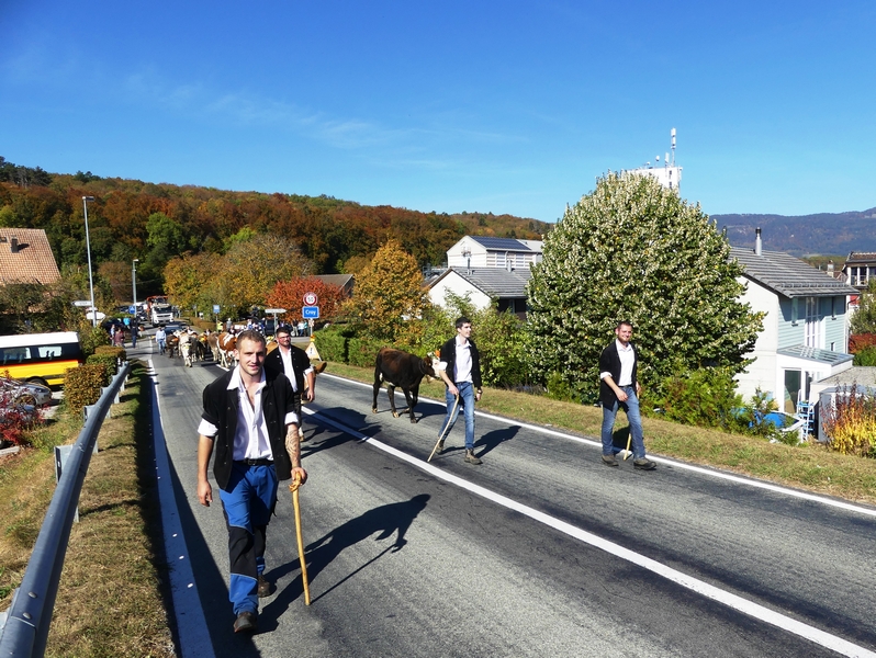 P1090566.JPG
