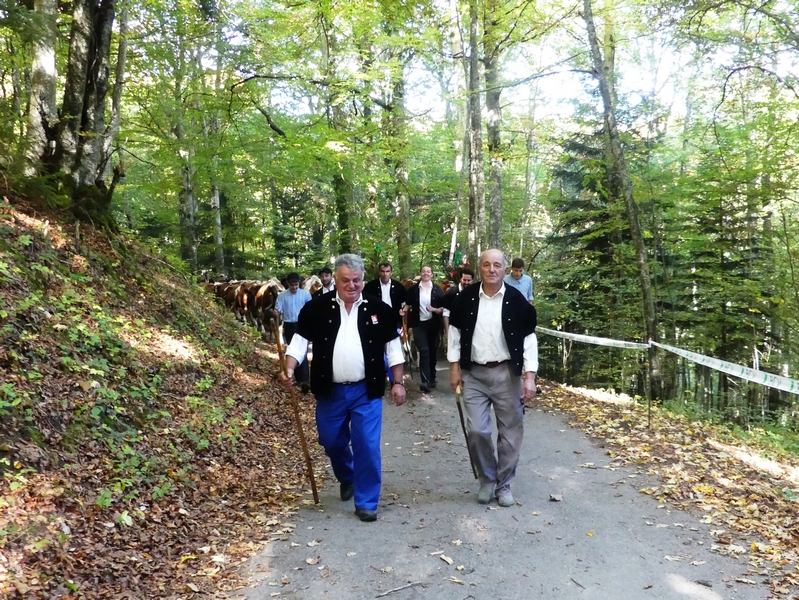 P1090772.JPG