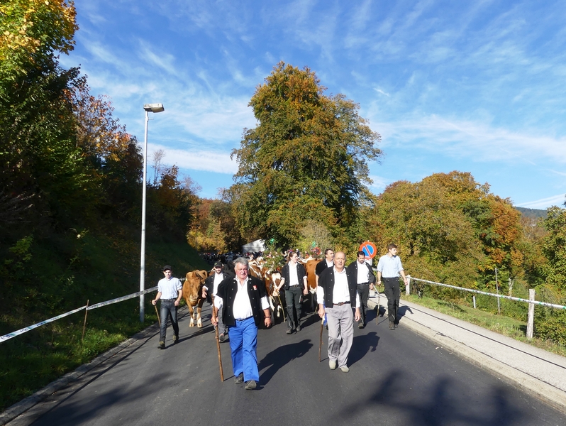 P1090817.JPG