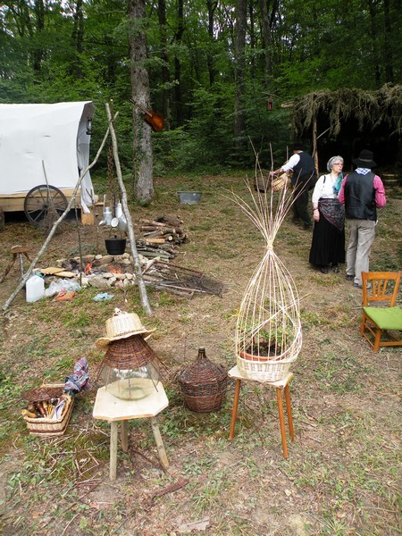 DSCN6478.JPG
