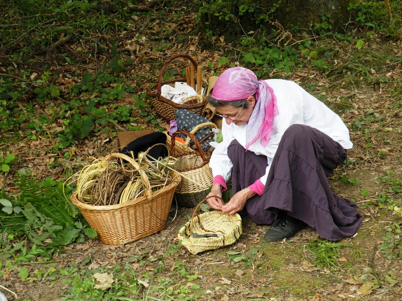 DSCN6479.JPG