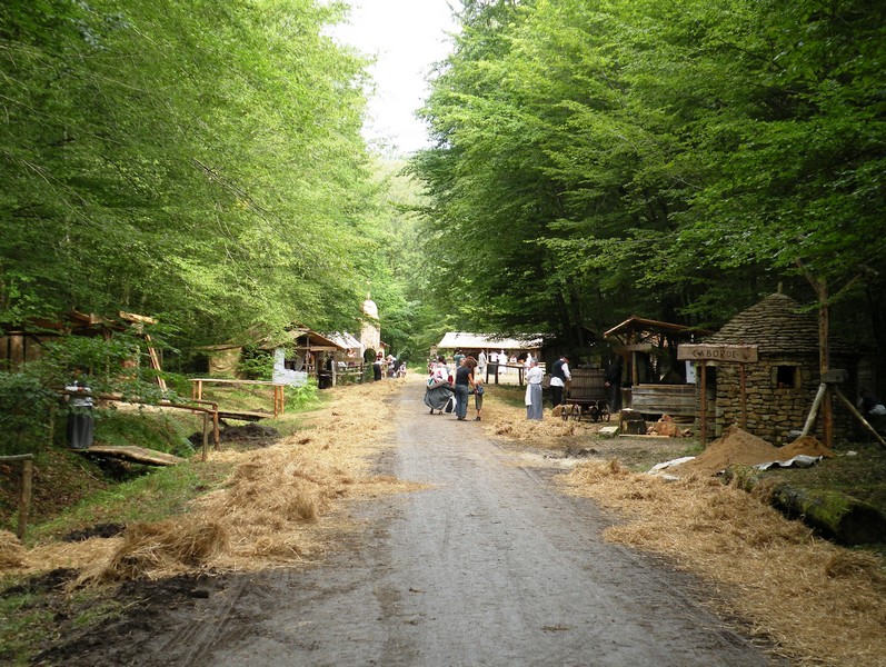 DSCN6493.JPG