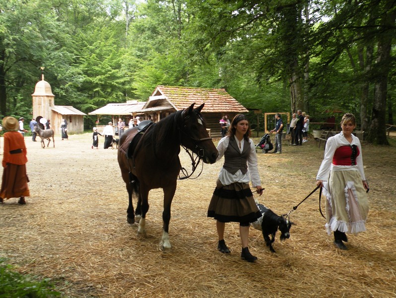 DSCN6522.JPG