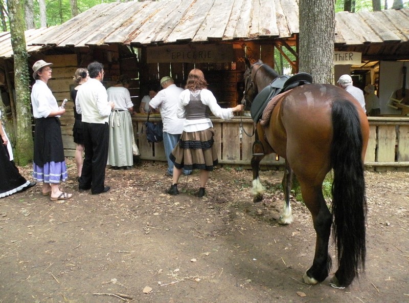 DSCN6537.JPG